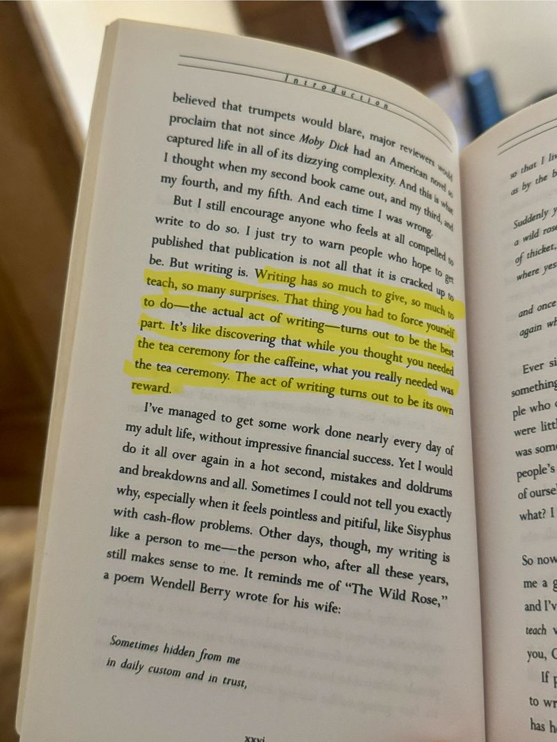 A passage from Bird by Bird, by Anne Lamott.