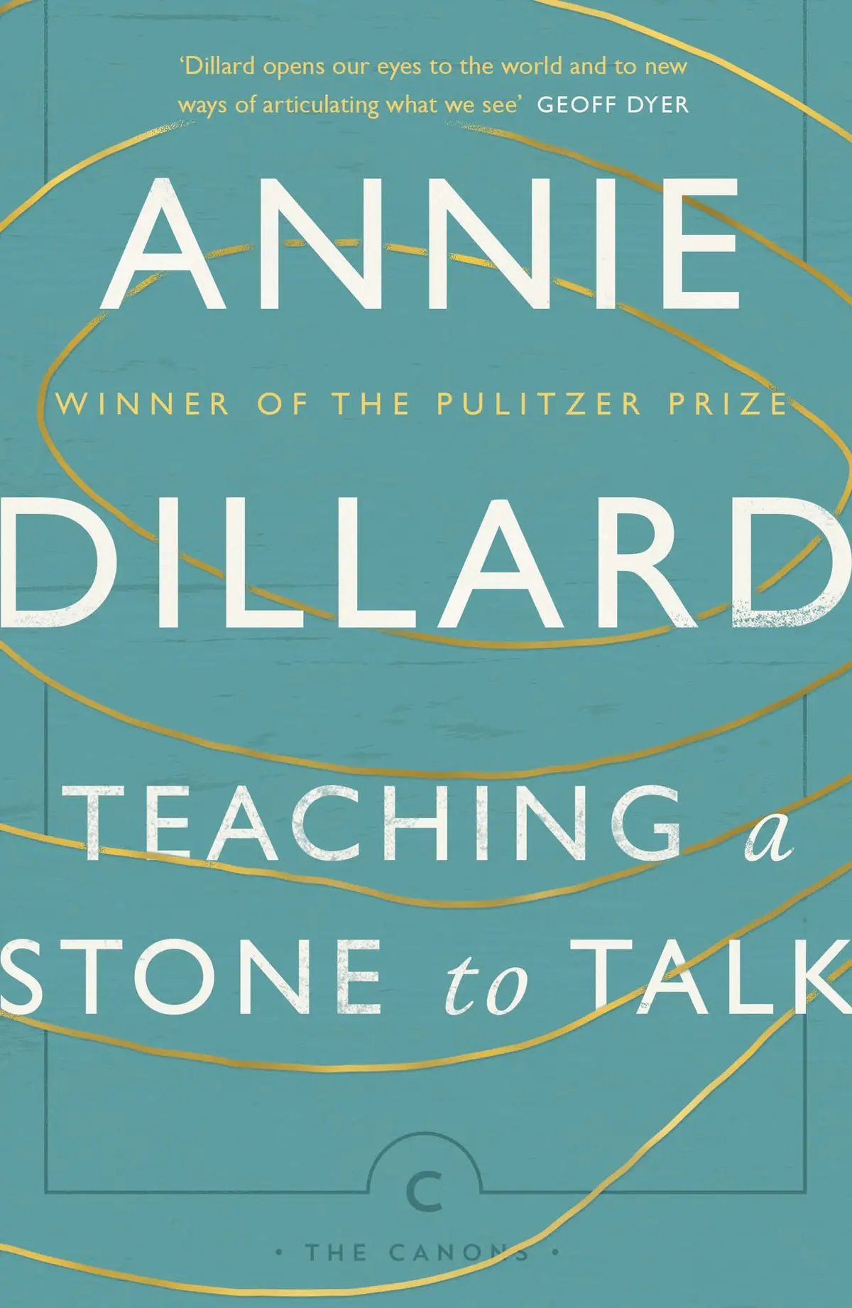 Teaching a Stone to Talk cover