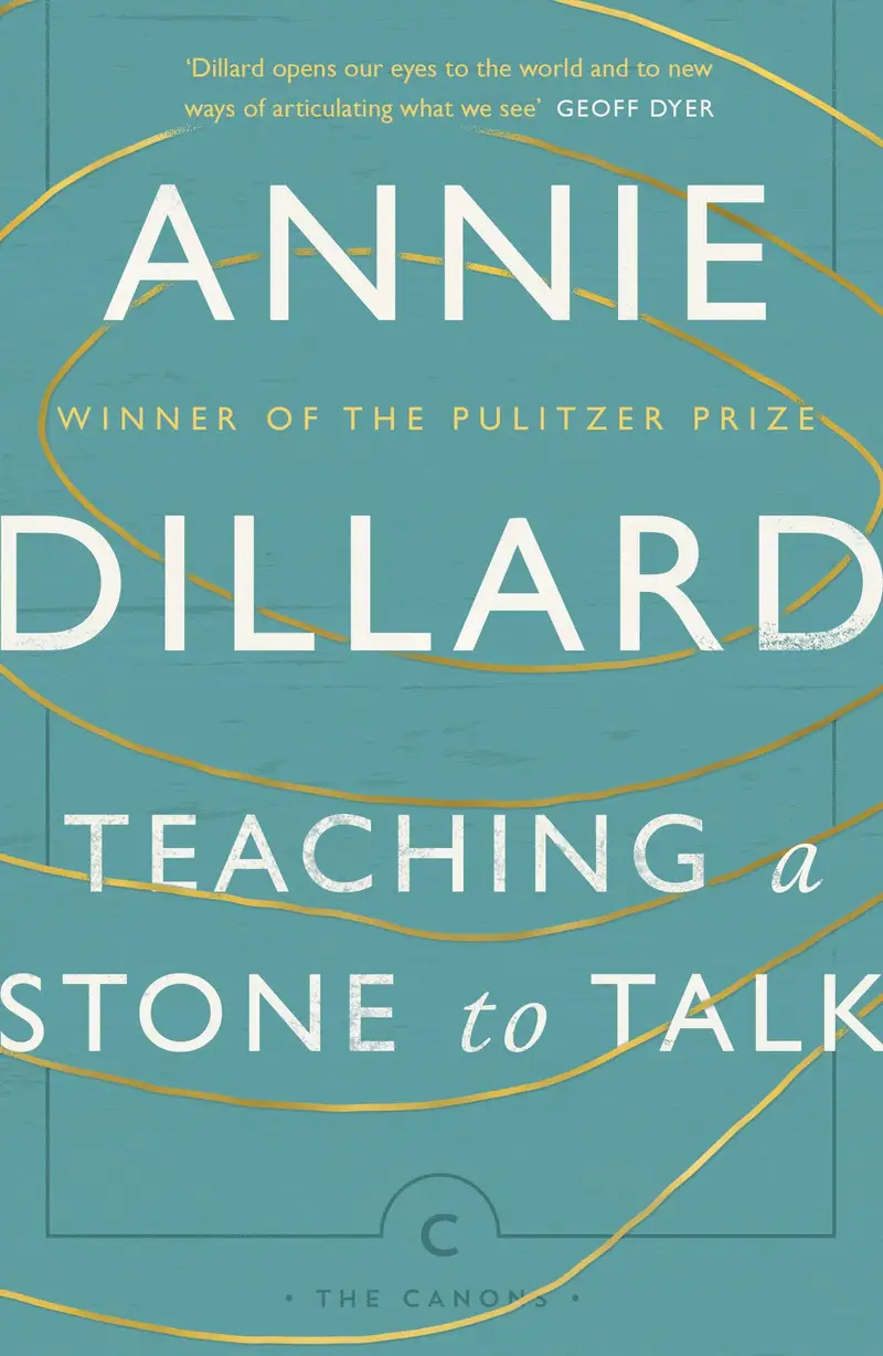 Teaching a Stone to Talk cover