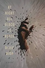 At Night All Blood Is Black cover