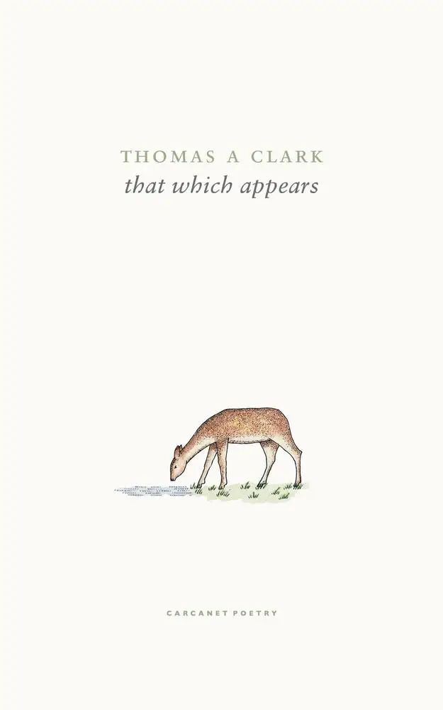 That Which Appears cover