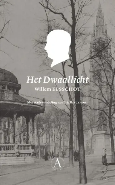 Het Dwaallicht cover