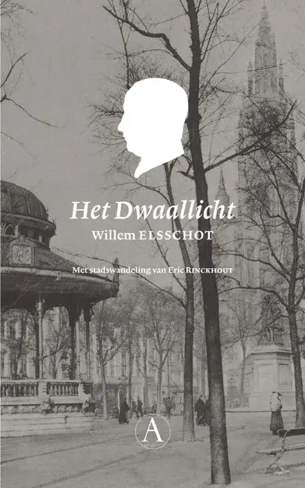 Het Dwaallicht cover