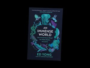 Ed Yong – An Immense World (2022)