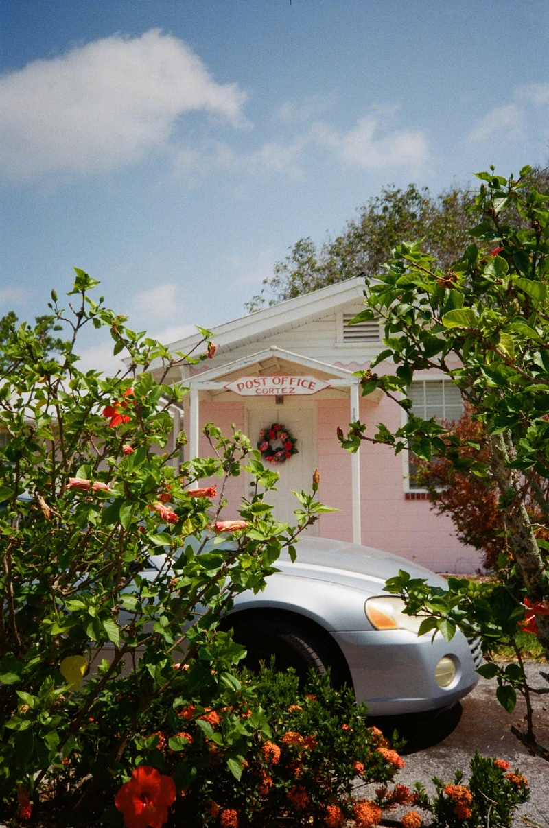 A pink clapboard post office with a wreath on the door, seen through a hibiscus bush over the bonnet of a silver car.
