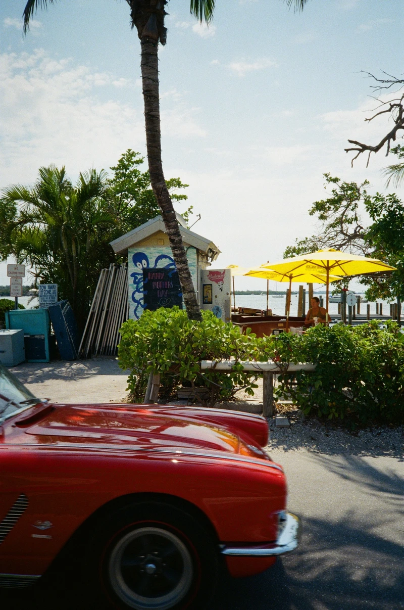 The red bonnet of an old Corvette in front of a waterside bar with yellow umbrellas and a leaning palm.
