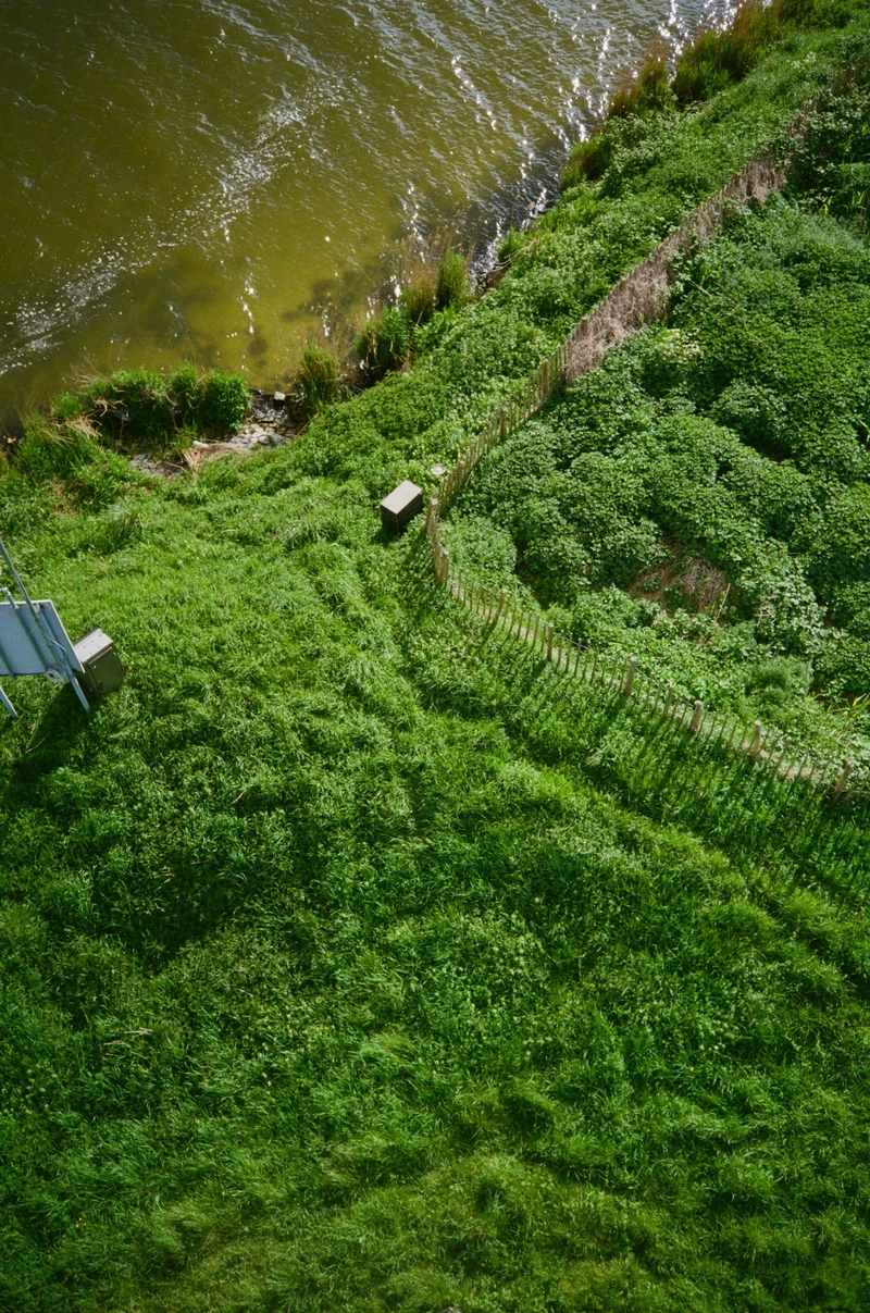 Looking straight down a grassy bank to the water, a low wooden fence running diagonally across the slope.