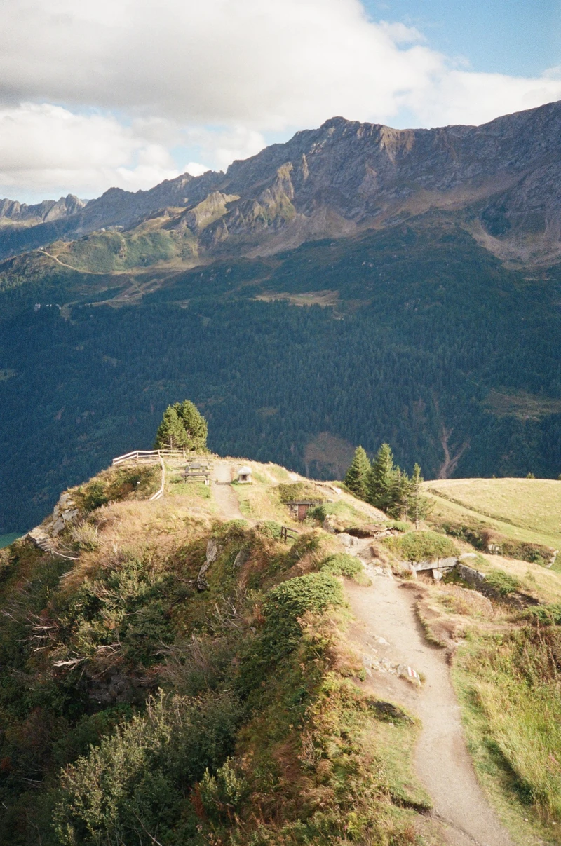 A footpath along a grassy ridge towards a few pines and a bench, a forested valley and bare peaks beyond.