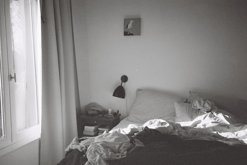 Black and white: an unmade bed with striped sheets, a wall lamp, and a small painting of a gull above it.
